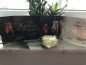 Preview: Geschenkgutschein 20,-€